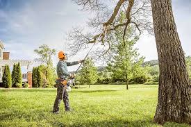 Best Leaf Removal  in Canyonville, OR